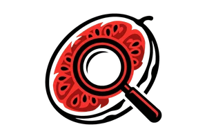 果冻视频传媒 - 吃瓜社Logo